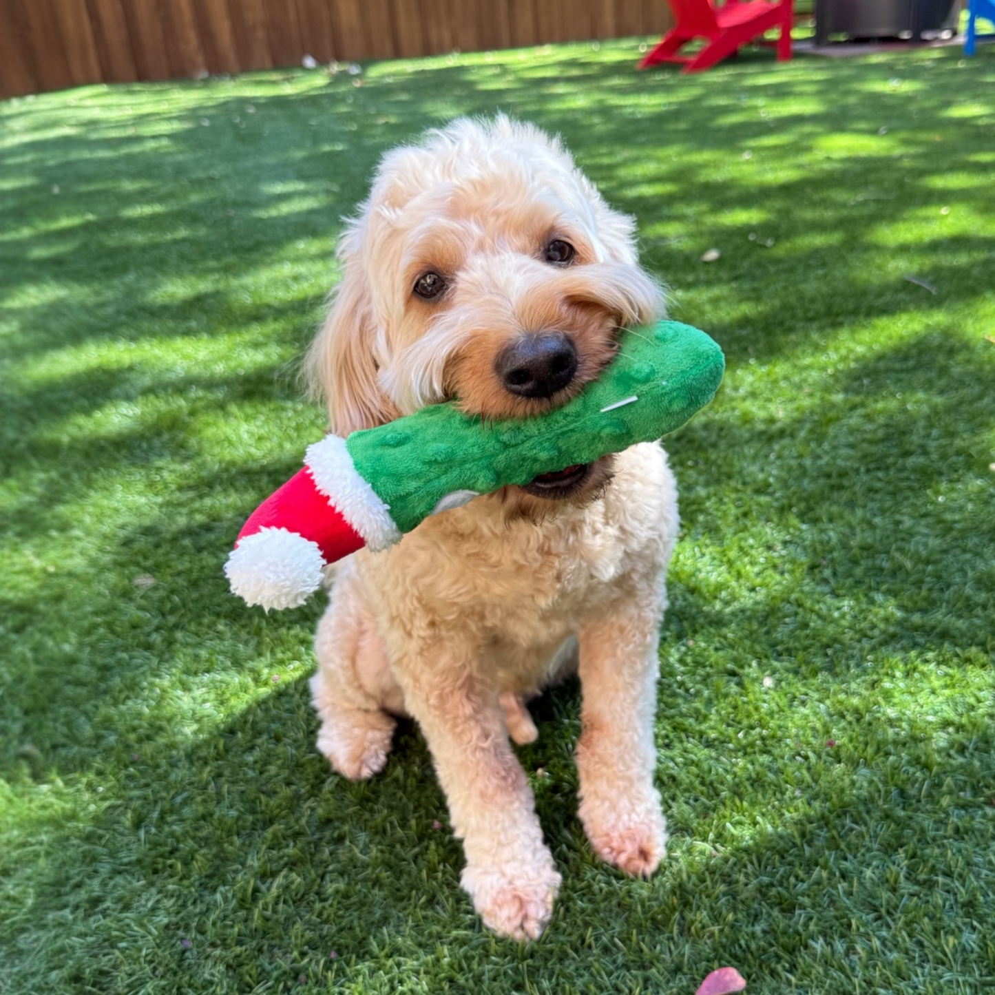 Fetchies® Dilly Claus Dog Toy | holiday pickle LARGE