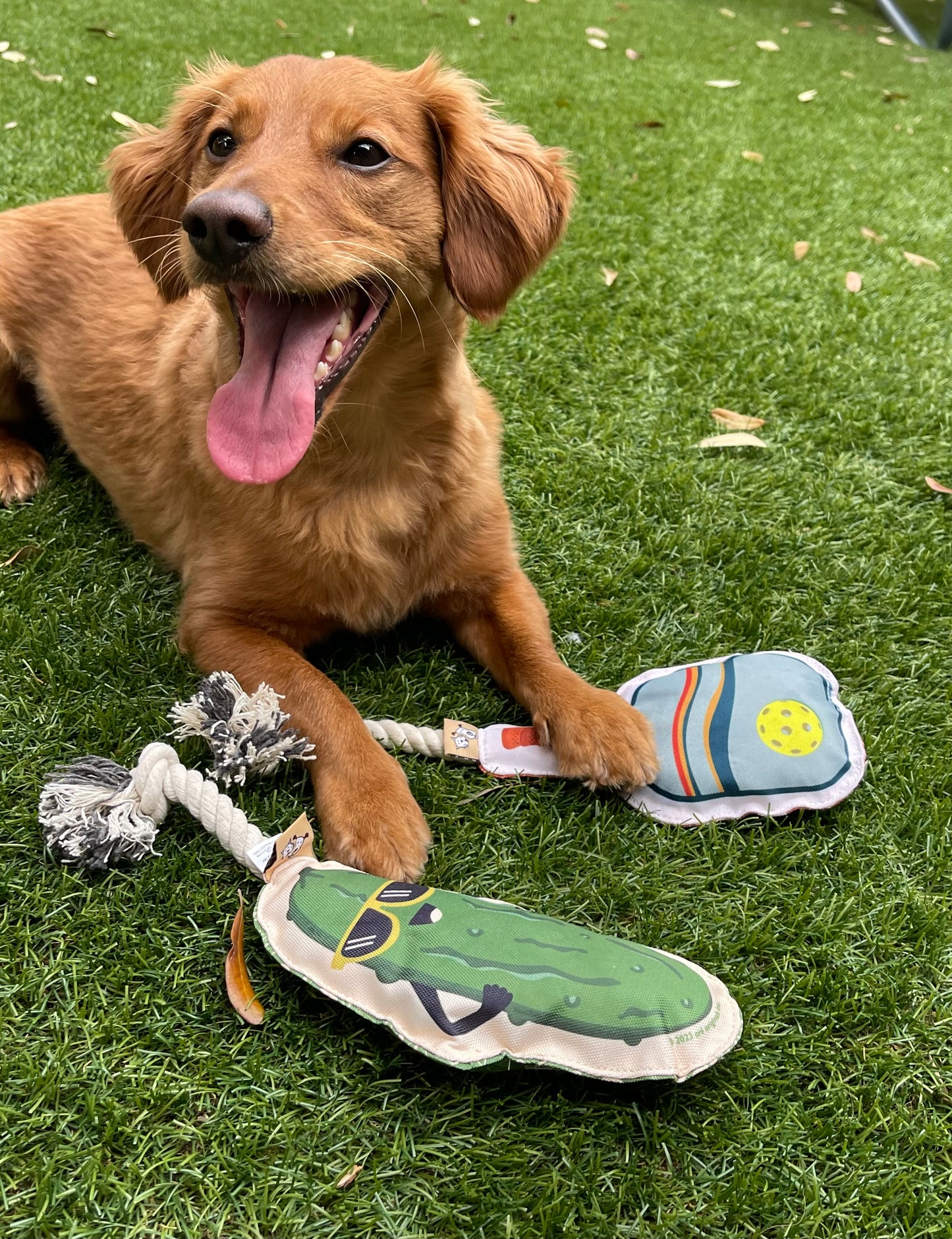 Rope Dog Toy - Cool Pickle