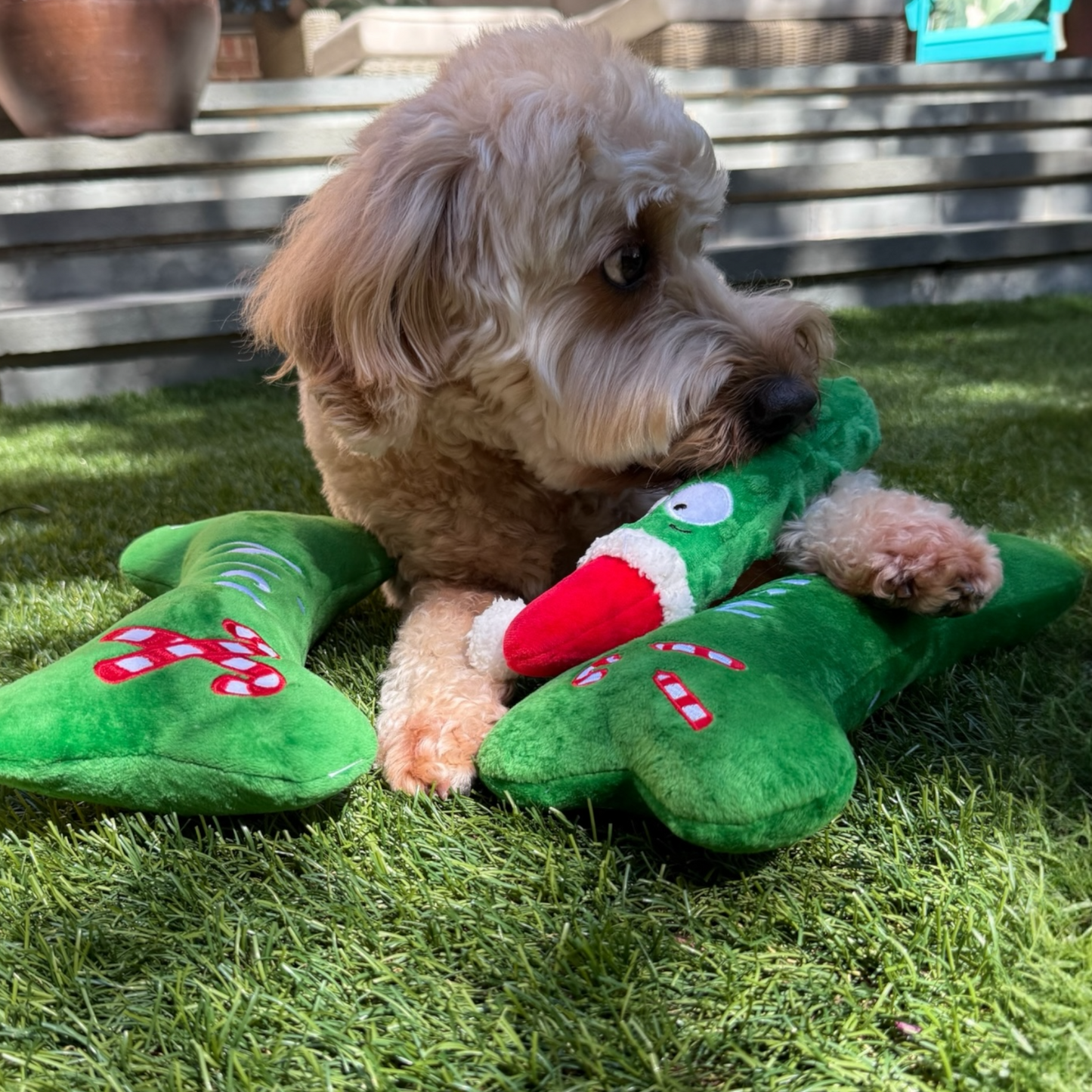 Fetchies® Dilly Claus Dog Toy | naughty + nice green bone