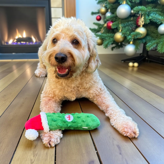 Fetchies® Dilly Claus Dog Toy | holiday pickle SMALL