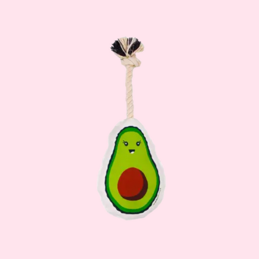 SUPER SALE! Rope Dog Toy | Avocado