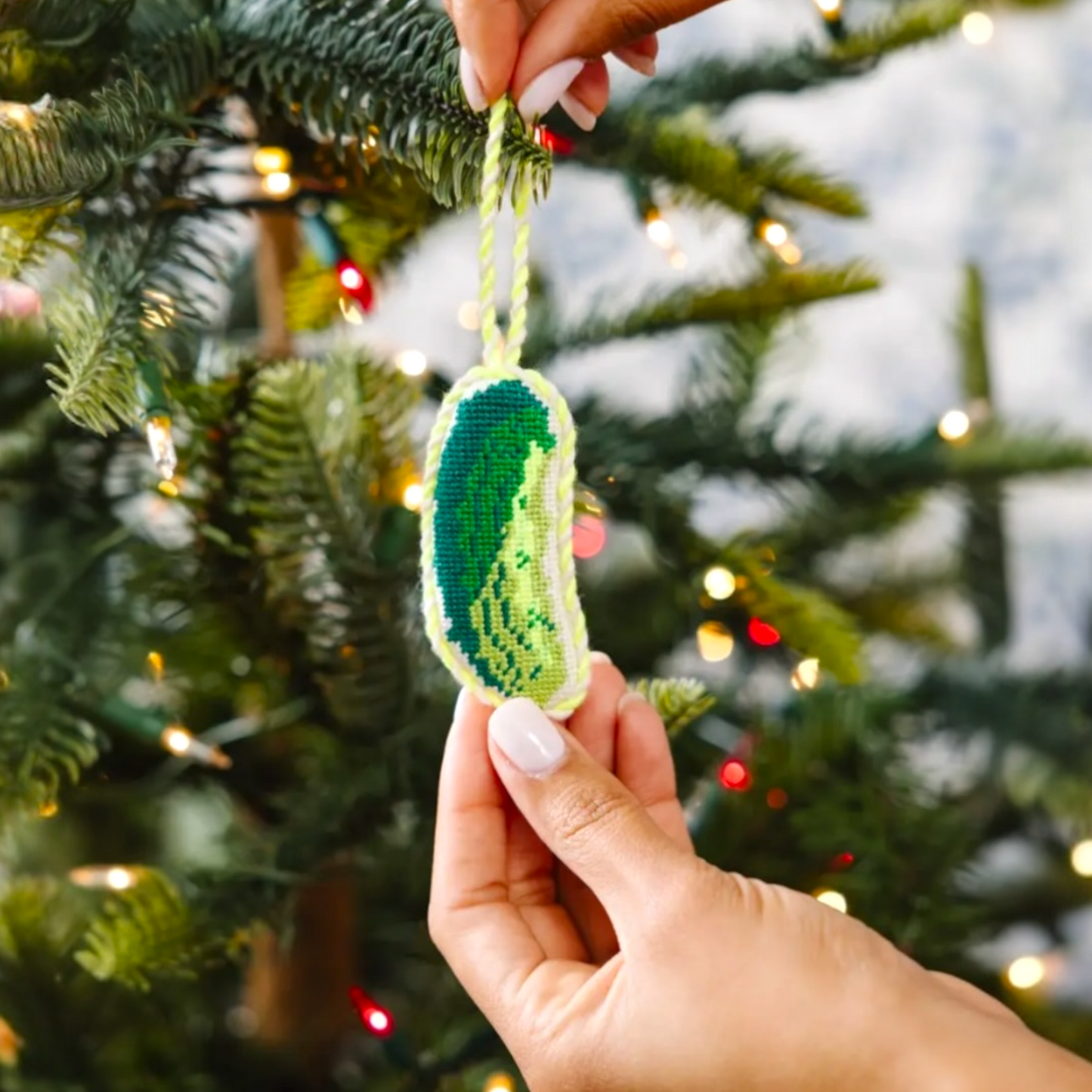 Needlepoint Ornament | pickle