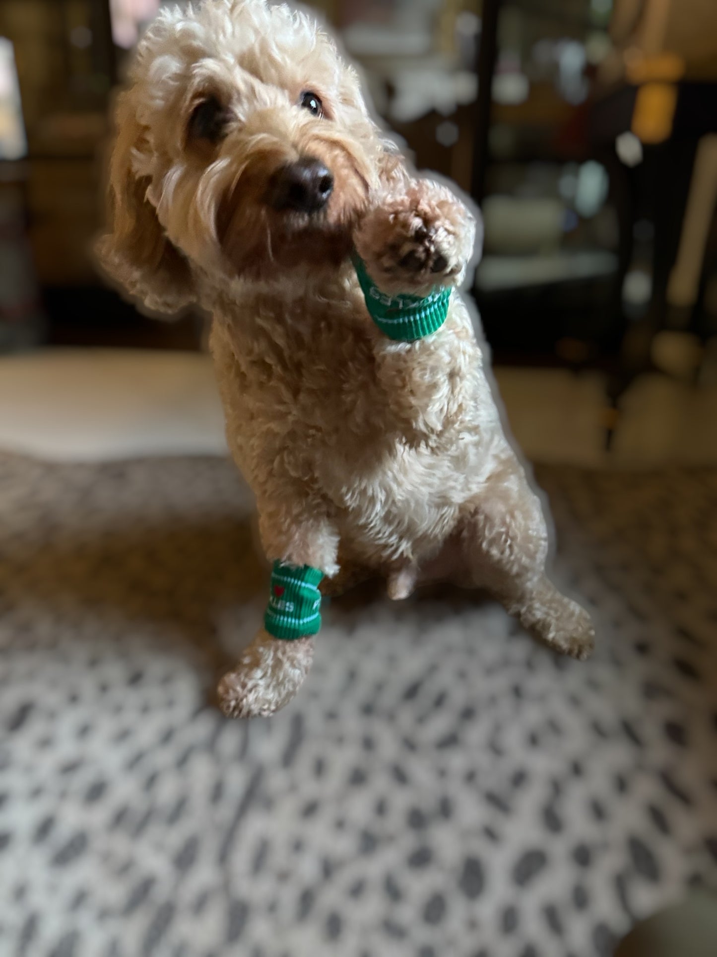 I ❤️ PICKLES Sweatbands | green