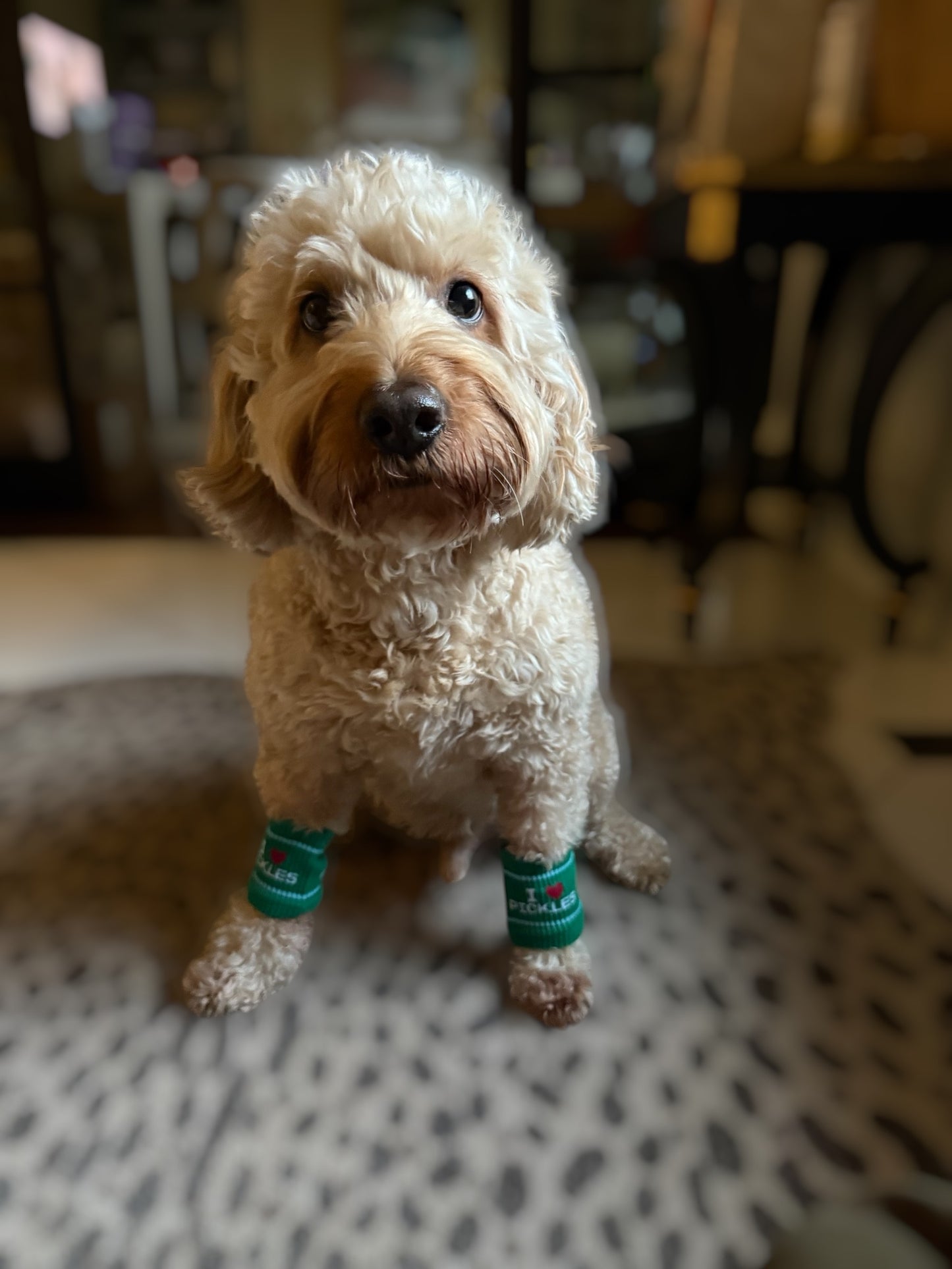 I ❤️ PICKLES Sweatbands | green