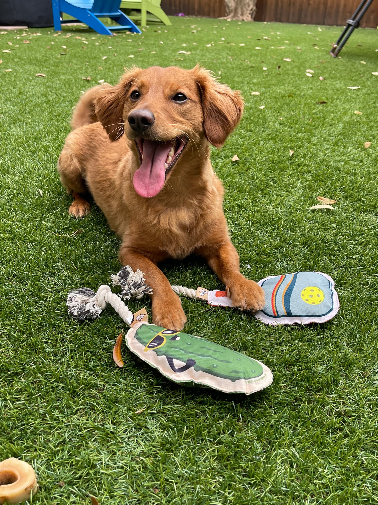 Rope Dog Toy - Pickleball Paddle
