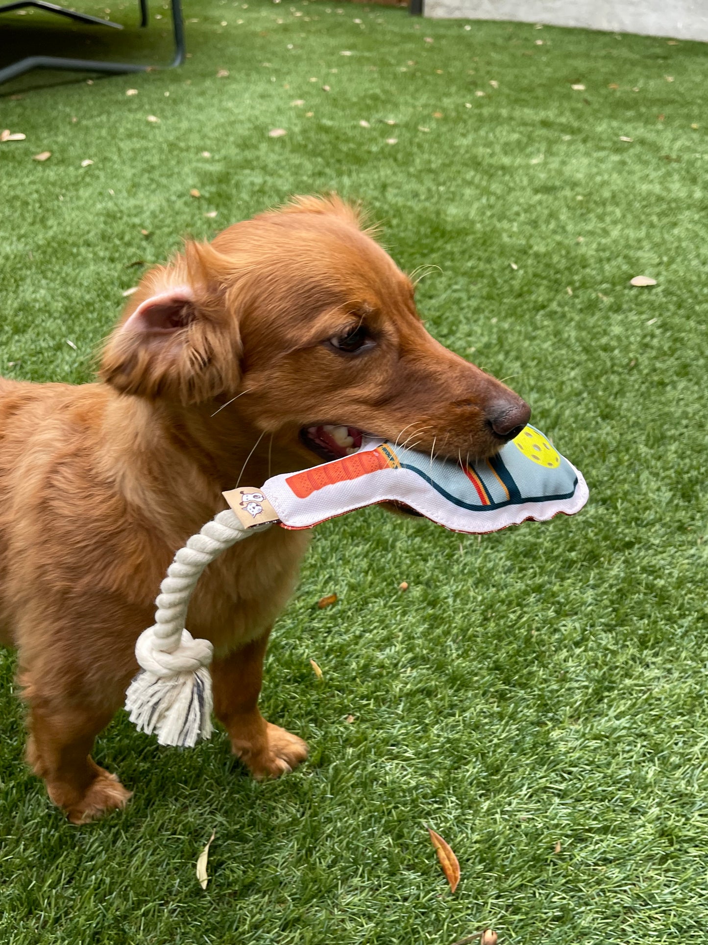 Rope Dog Toy - Pickleball Paddle